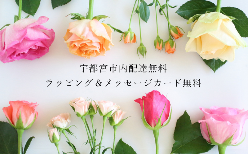 サービス内容